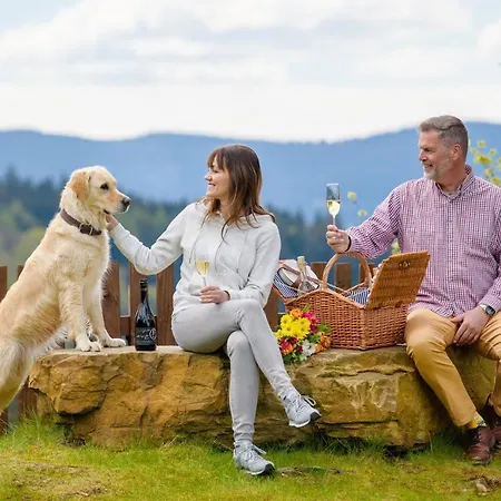 Szálloda Wellness aparthotel Martiňák