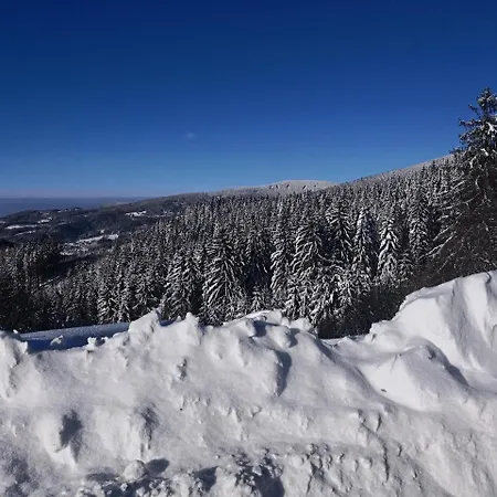 Wellness Martiňák 4* Horní Bečva