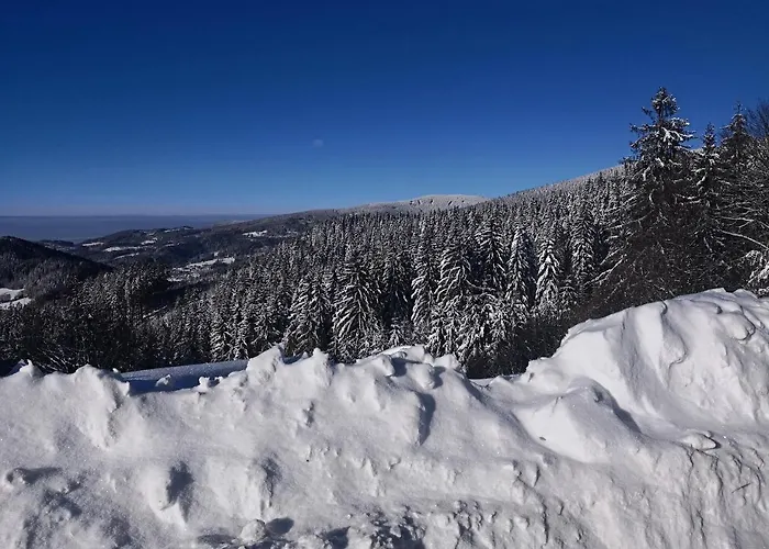 Wellness Martiňák 4* Horní Bečva